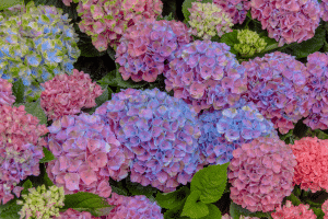 La science derrière la transformation