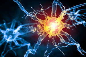 Régénération tissulaire : un défi persistant