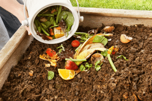 L’importance du compost pour l’écosystème