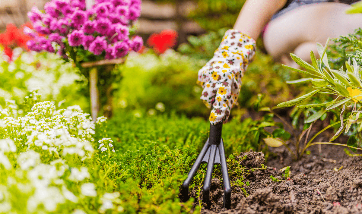 Ce réflexe à faire juste après la pluie enrichit naturellement votre sol